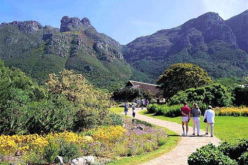 Botanical Garden Kirstenbosch in Kapstadt