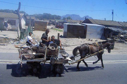 Pferdekutsche mit Schrotthändler in einem Township