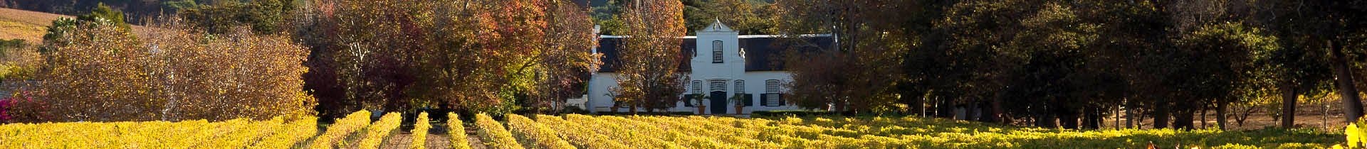 Weingüter in Kapstadt | Südafrika