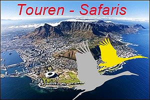 Hadidas Touren und Safaris in Kapstadt