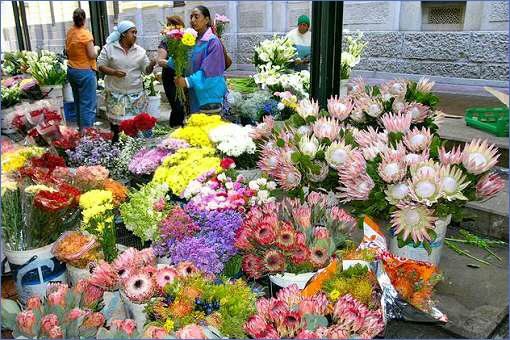 Flower Market am Trafalgar Square in Kapstadt