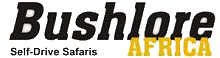 bushlore logo