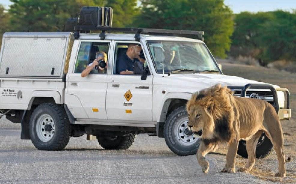 bushlore suedafrika