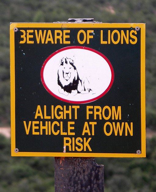 Schild mit der Warnung vor dem Löwen in Südafrika