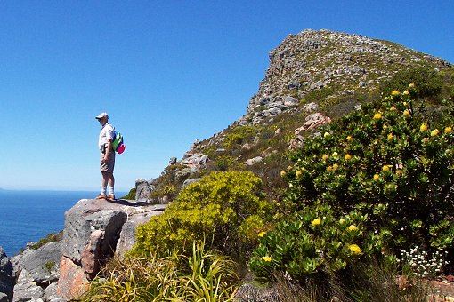 Tafelberg Wanderwege