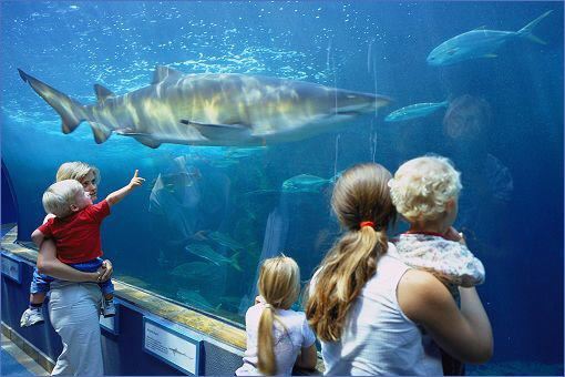 Two Oceans Aquarium in Kapstadt