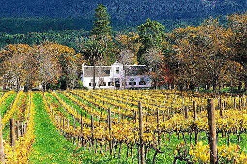 Wine Estates bzw. Weingüter der Winelands bei Kapstadt