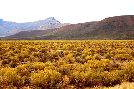 Landschaft des Tankwa Karoo National Park