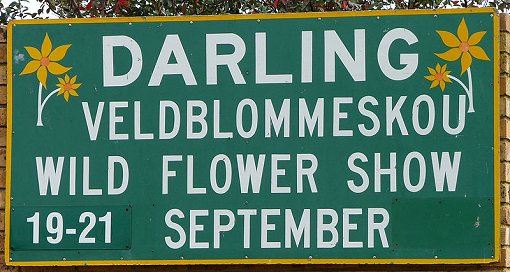 darling flower show