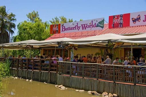 Butterfly World Restaurant